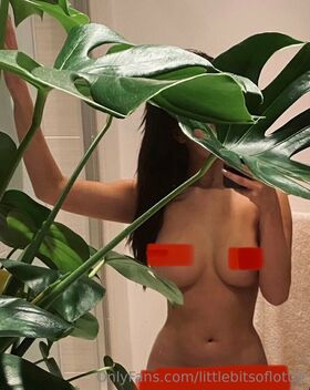 LottieLion Nude Leaks OnlyFans Photo 1