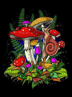 Magicmushroom