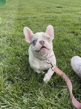 melipsi Nude Leaks OnlyFans Photo 15