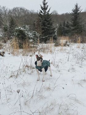 mickey Çıplak Sızdırılmış OnlyFans Fotoğrafı 111