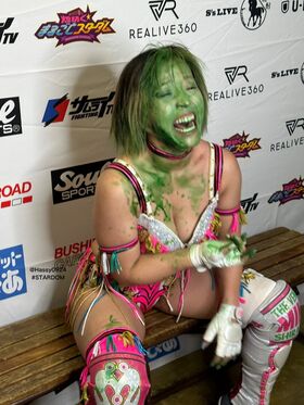 Mina Shirakawa Nude Leaks OnlyFans Photo 12