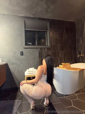 misscindyy Nude Leaks OnlyFans Photo 195