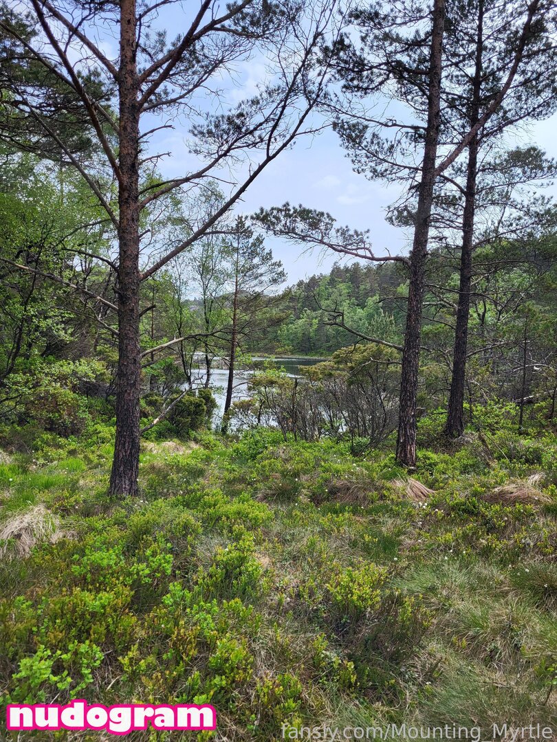 Mounting_Myrtle / https: / myrtle_4372 Nude Leaks OnlyFans Photo #2 - Nudogram v2.0