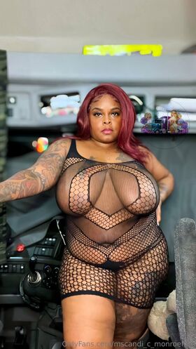 mscandi_c_monroefree