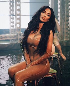 nicolescherzinger