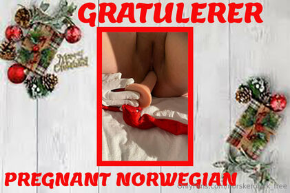 norskerotikk_free Nude Leaks OnlyFans Photo 31