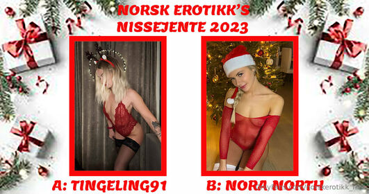 norskerotikk_free Nude Leaks OnlyFans Photo 33