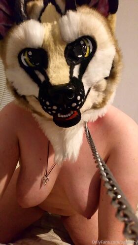 oggleshy Naakte Leaks OnlyFans Foto 16