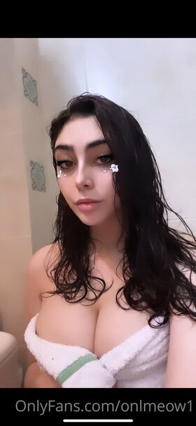 onlmeow1 Nude Leaks OnlyFans Photo 31