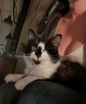 onlyzaboomafoo Ảnh OnlyFans khỏa thân rò rỉ 715