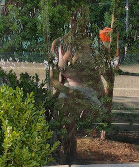 onlyzaboomafoo Ảnh OnlyFans khỏa thân rò rỉ 717