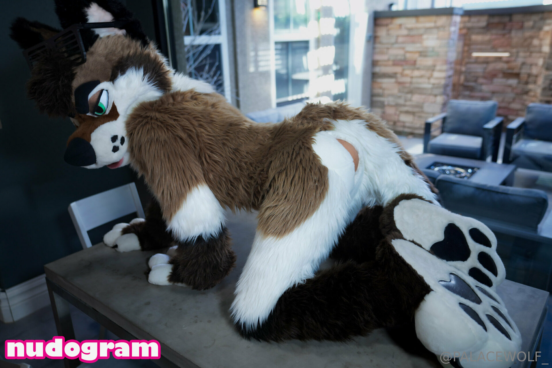 palacewolf Nude Leaks OnlyFans Photo 5 - Nudogram v2.0