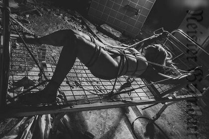 Pale Dahlia aka Julia van Helheim