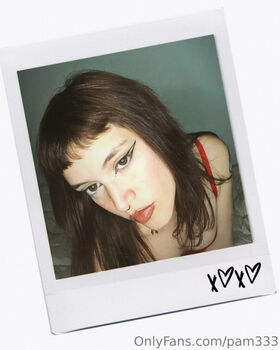 pam333