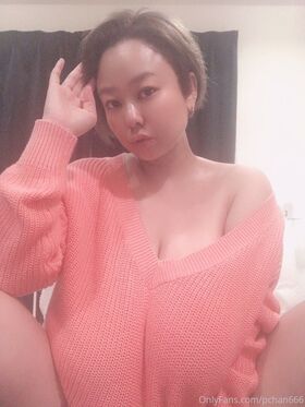pchan666 Nude Leaks OnlyFans Photo 27