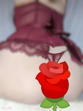 princessdulcibetasafe Nude Leaks OnlyFans Photo 48