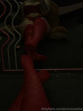 princesselise Nude Leaks OnlyFans Photo 16