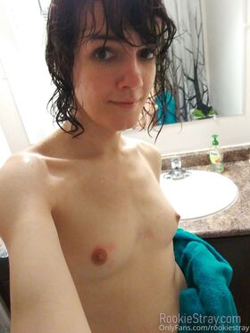 rookiestray Nude Leaks OnlyFans Photo 36