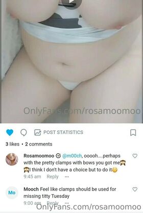 rosamoomoo Nude Leaks OnlyFans Photo 43