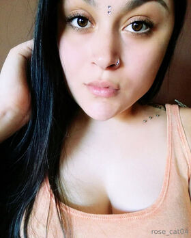 rose_cat04