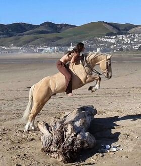 Saskia Herd Nude Leaks OnlyFans Photo 6