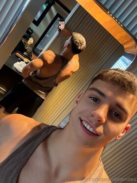 sean4mendes