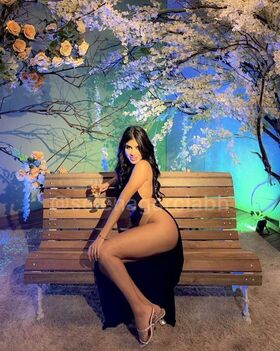 Selena Garcia BH Nude Leaks OnlyFans Photo 2