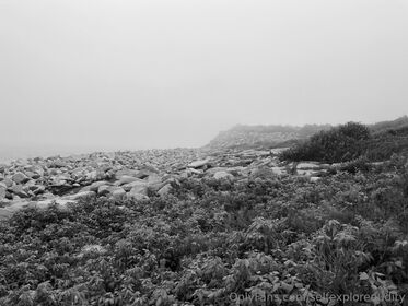 selfexplorenudity Nude Leaks OnlyFans Photo 14