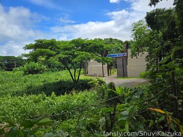 ShuviKaizuka
