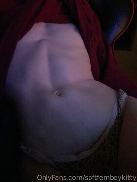 softfemboykitty Nude Leaks OnlyFans Photo 49