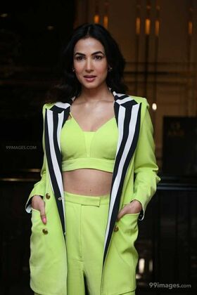 Sonal Chauhan Nude Leaks OnlyFans Photo 22