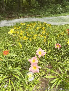 sonnikuza Nude Leaks OnlyFans Photo 24