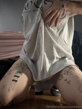 soyworm