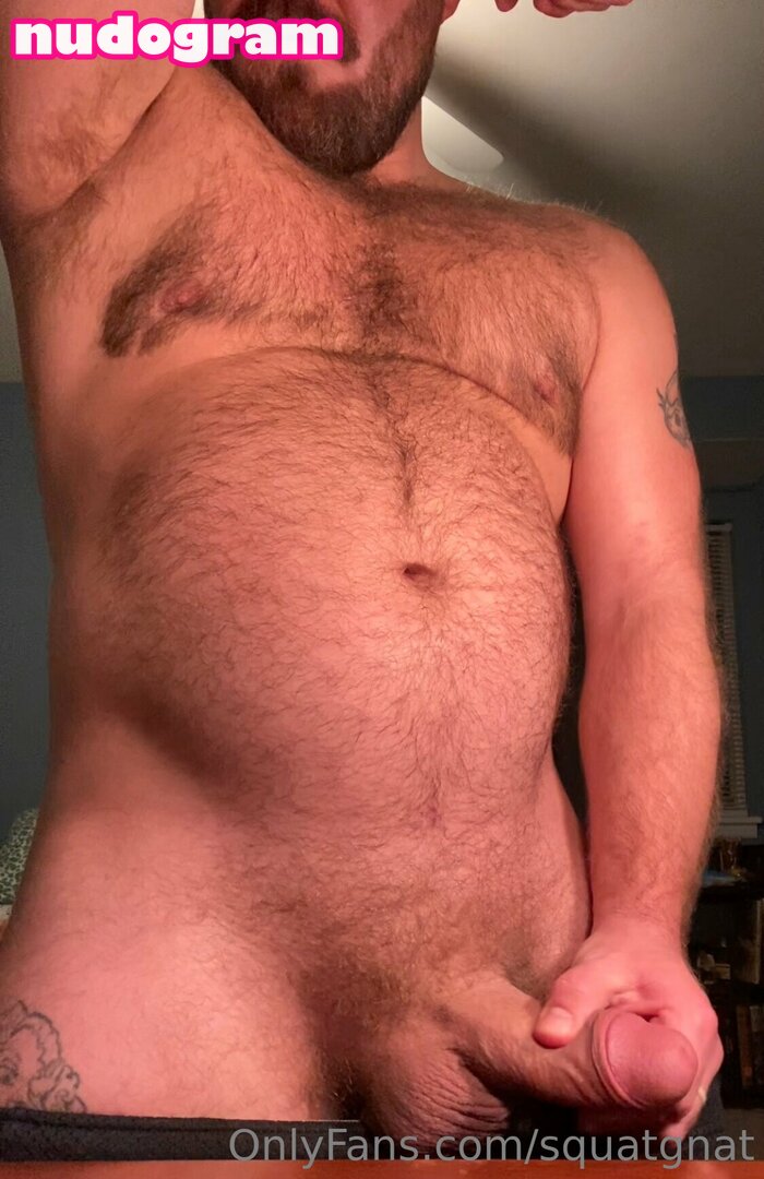 squatgnat
