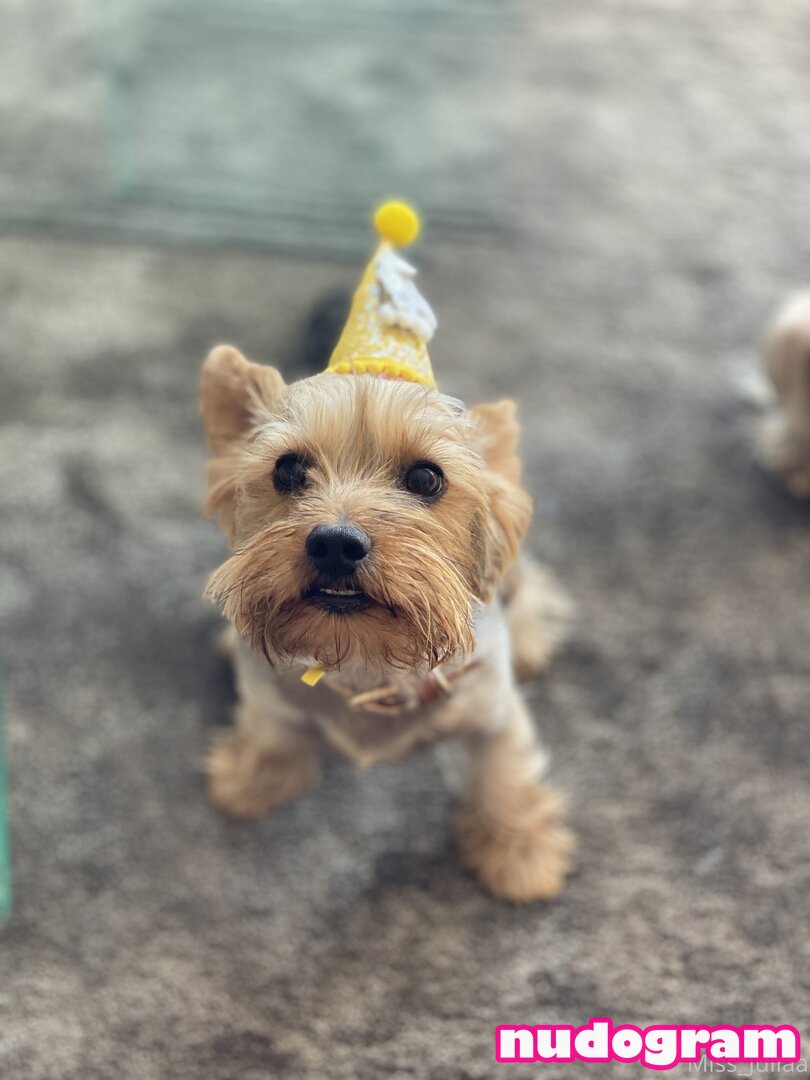 MissJuliaaaa / juliaamisss / miss_juliaa / suavemariaa Nude Leaks