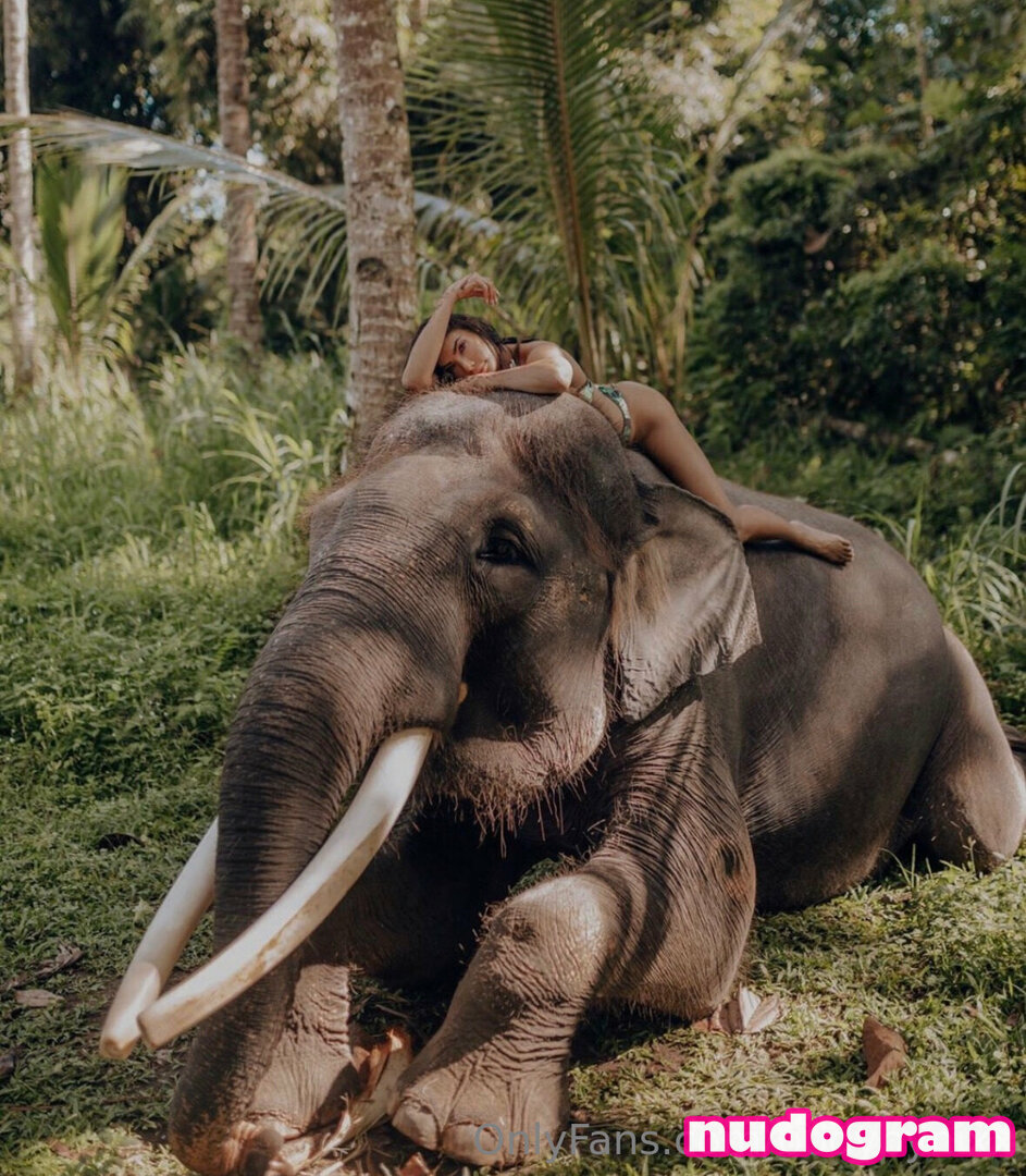 Утечки OnlyFans