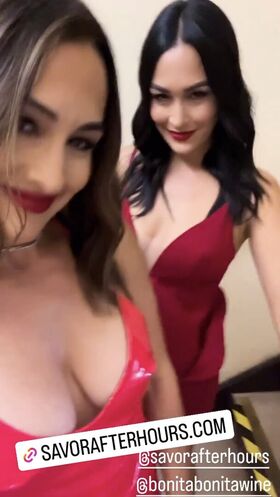 The Bella Twins Nude Leaks OnlyFans Photo 1