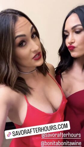 The Bella Twins Nude Leaks OnlyFans Photo 4
