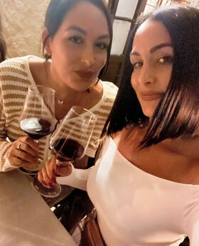 The Bella Twins Nude Leaks OnlyFans Photo 23