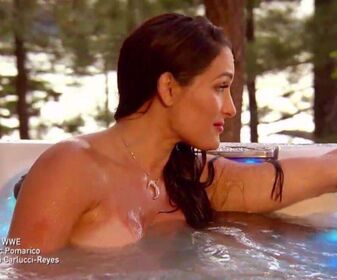 The Bella Twins Nude Leaks OnlyFans Photo 232