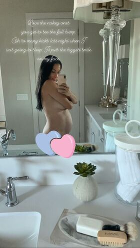 The Bella Twins Nude Leaks OnlyFans Photo 234