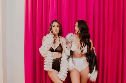 The Bella Twins Nude Leaks OnlyFans Photo 240