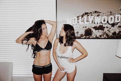 The Bella Twins Nude Leaks OnlyFans Photo 243