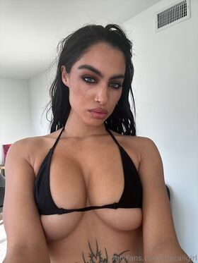 thecaligirl Nude Leaks OnlyFans Photo 433
