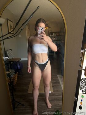 TinyGymPAWG