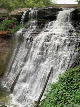 tinytatted Procurena gola OnlyFans fotografija 36