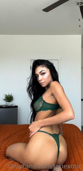 toriexotic Nude Leaks OnlyFans Photo 25