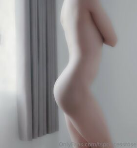 tsprincessrose Nude Leaks OnlyFans Photo 73