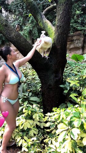 Vanessa Castillo Nude Leaks OnlyFans Photo 17
