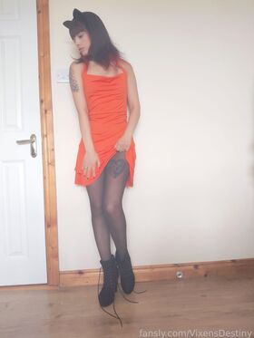 VixensDestiny